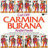 Andre Previn 오르프: 카르미나 부라나 (Orff: Carmina Burana) [2LP]