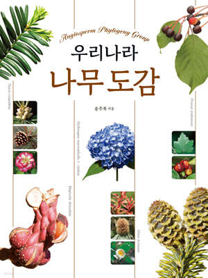 우리나라 나무 도감
