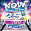 NOW 25th Anniversary, Volume 1 [실버 컬러 2LP]