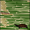 Jade Hairpins - Harmony Avenue (Download)(LP)