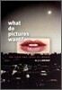 What Do Pictures Want?