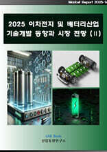 2025 이차전지 및 배터리산업 기술개발 동향과 시장전망 (2)