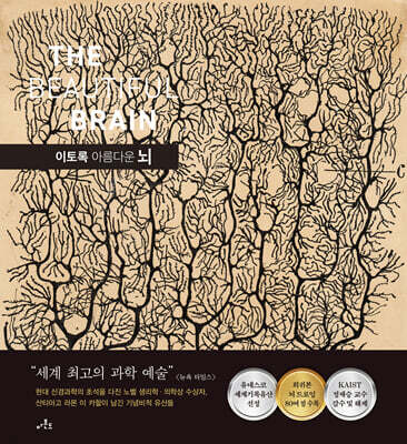 이토록 아름다운 뇌