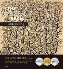 이토록 아름다운 뇌