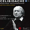 첼리비다케 에디션 2집 (Sergiu Celibidache Edition Vol. 2)