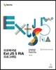 프로페셔널 Ext JS 5 RIA 프로그래밍