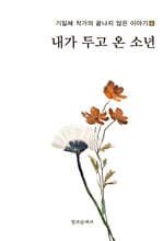 내가 두고 온 소년
