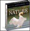 Audubon Nature Page-A-Day® Gallery Calendar 2026