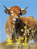 딩동~ 소 도감