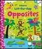 Lift-the-flap Opposites
