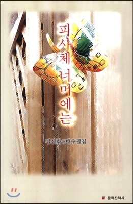 피사체 너머에는