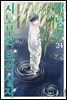 전당포 시노부의 보석상자 24권