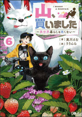 山,買いました (6)