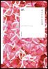 대프니 듀 모리에 : 지금 쳐다보지 마 외 8편 - 세계문학단편선 10