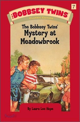 The Bobbsey Twins&#39; Mystery At Meadowbrook