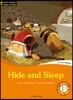 Hide and Sleep Level 1-1