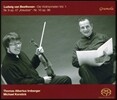 Thomas Albertus Irnberger 베토벤: 바이올린 소나타 1집 - 9번 `크로이처`, 10번 (Beethoven: Violin Sonatas, Vol. 1)