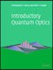 Introductory Quantum Optics