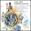 서예리 / Jos van Immerseel 오르프: 카르미나 부라나 (Carl Orff: Carmina Burana)