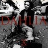X-Japan (엑스 재팬) - Dahlia (수입)