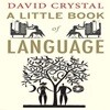 A Little Book of Language (『언어의 역사』원서)