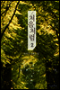 처음처럼 2권