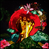 Rina Mushonga - In A Galaxy (LP)