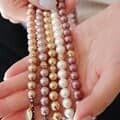 바이데이지 큐빅볼 체인 8mm 진주 목걸이 Bn0596
