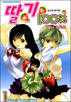 [세트] 딸기 100% (총19권/완결)