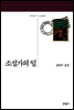 소설가의 일