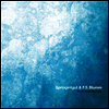Springintgut / F.S. Blumm - Bird & White Noise (LP)