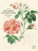 John Derian Colouring Book: Flowers