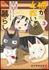 猫が4匹いる暮らし(3)