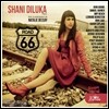 Shani Diluka 길 66 (Road 66)