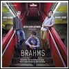 Raphael Severe 브람스: 클리리넷 소나타, 클라리넷 트리오 (Brahms: Clarinet Sonata Op.120-1&2, Clarinet Trio Op.114)