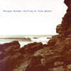 Polygon Window (폴리곤 윈도우) - Surfing On Sine Waves