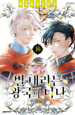 별 내리는 왕국의 니나 16