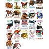 진짜 진짜 재밌는 그림책 세트 (전22권) 공생 관계/사라진 동물/심해 동물/작은생물/명화/거미 /육식 동물/파충류 /바다/우주/