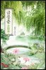 금릉춘 05권
