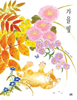 가을빛