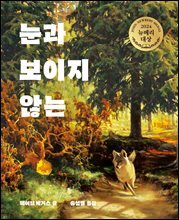 눈과 보이지 않는