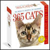 365 Cats Page-A-Day® Calendar 2026