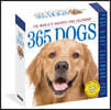 365 Dogs Page-A-Day® Calendar 2026