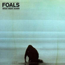 Foals (폴즈) - What Went Down [클리어 &amp; 블랙 컬러 LP]