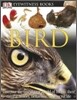 DK Eyewitness Books : Bird