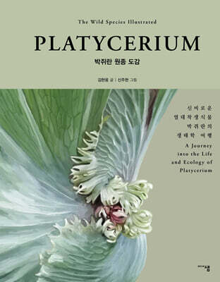 PLATYCERIUM 박쥐란 원종 도감