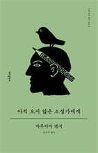 아직 오지 않은 소설가에게
