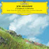 히사이시 조: 지브리 OST 편곡집 (Hisaishi Joe: Symphonic Celebration) [옐로우 컬러 2LP]