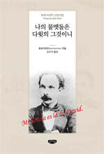 나의 물맷돌은 다윗의 그것이니