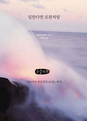 일한다면 로완처럼 (큰글자책)